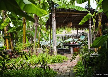 Nhà thơ Trần Quốc Thực